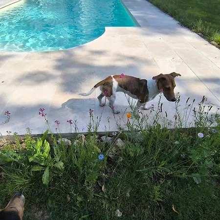 Domaine De Ris Ris-Orangis